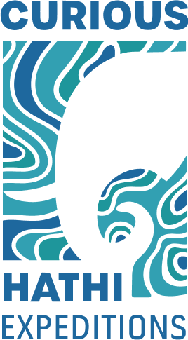 Curious Hathi Expeditions